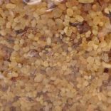 Tamjan SIFTING